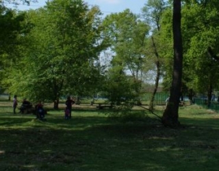  camicrema en el parque 